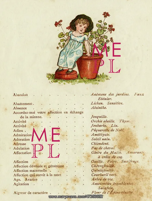 : CHILDREN / FLOWERS 1884 : CHILDREN / FLOWERS 1884