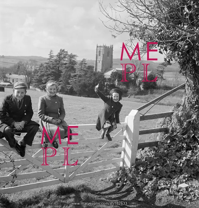 : Children on a gate : Children on a gate
