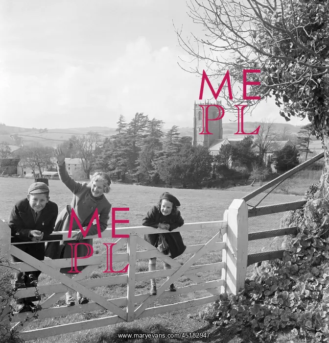 : Children on a gate : Children on a gate