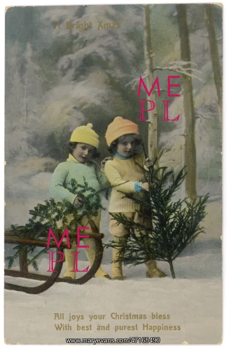  : Children gather Christmas trees