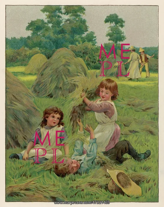 : CHILDREN / HAYFIELD 1888 : CHILDREN / HAYFIELD 1888