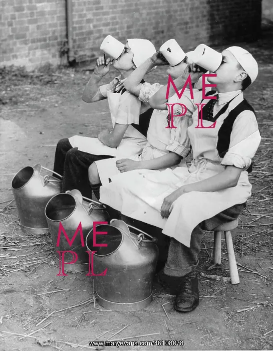 : Children learn the production of milk : Children learn the production of milk