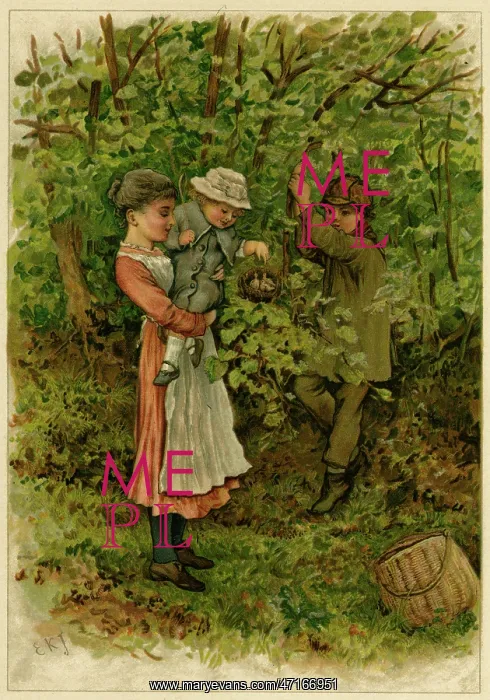  : Children looking at a nest