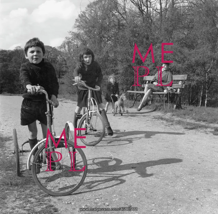 : Three children and their mother in a park : Three children and their mother in a park