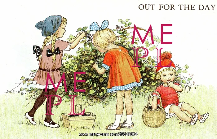 : Children picking blackberries : Children picking blackberries