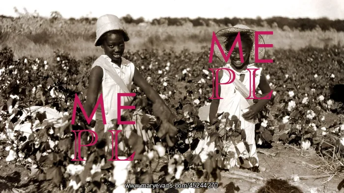 : Children picking cotton, late 1800s. ? : Children picking cotton, late 1800s. ?