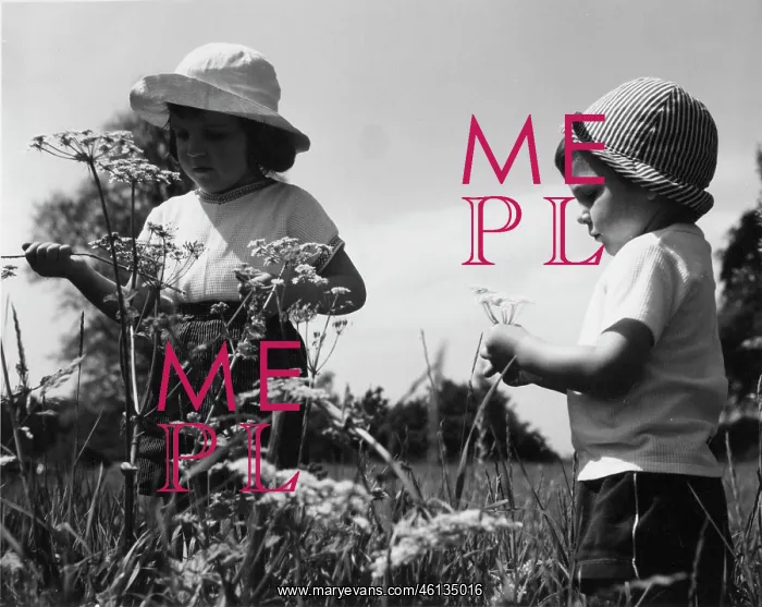 : Two children picking flowers : Two children picking flowers
