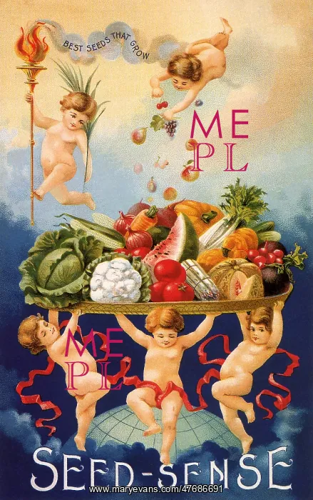  : Children and Full Platter