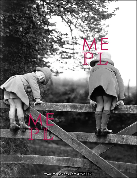 : Two children play on a fence - Devon : Two children play on a fence - Devon