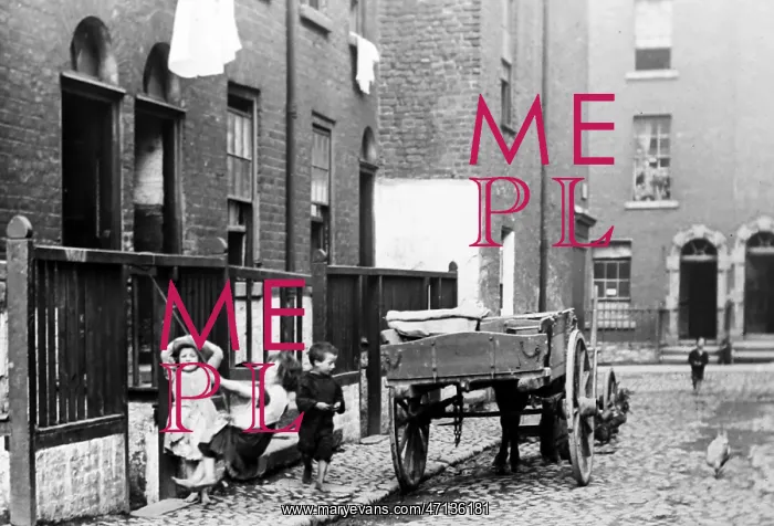  : Children playing in Dublin, Victorian period