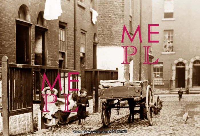  : Children playing in Dublin, Victorian period