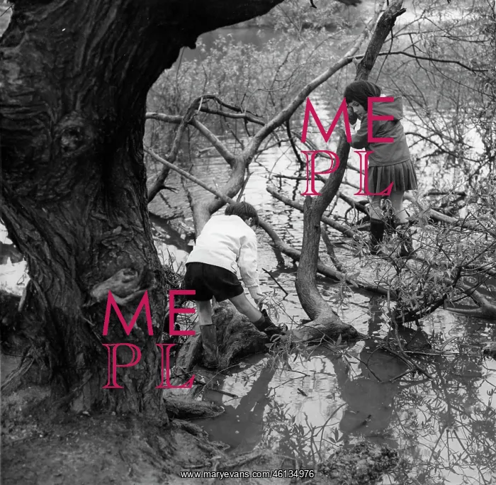  : Two children playing by a gnarled tree