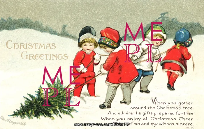 : Children pulling Christmas tree through the snow : Children pulling Christmas tree through the snow