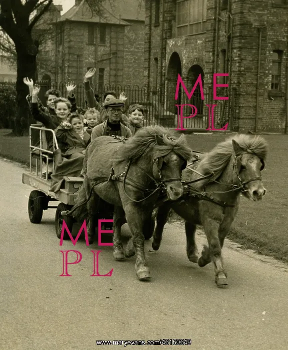 : Children riding in cart pulled by ponies, Manchester : Children riding in cart pulled by ponies, Manchester