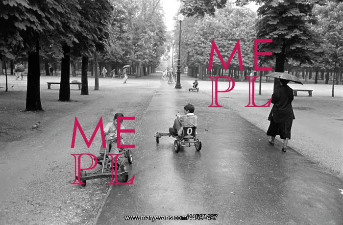 : Children riding on go-carts along a tree-lined : Children riding on go-carts along a tree-lined