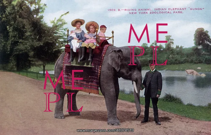 : Children riding an Indian elephant, New York Zoological Park : Children riding an Indian elephant, New York Zoological Park