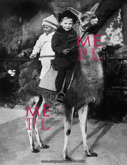 : Children riding on a lama, 1913