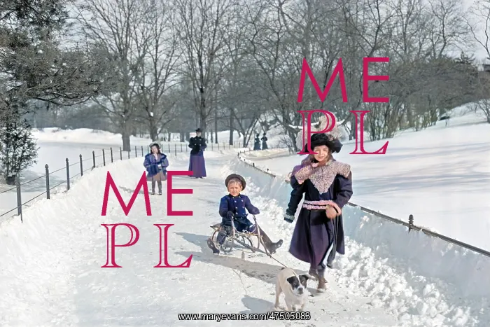  : Children in the snow with a sledge in Cnetral Park in New Yo