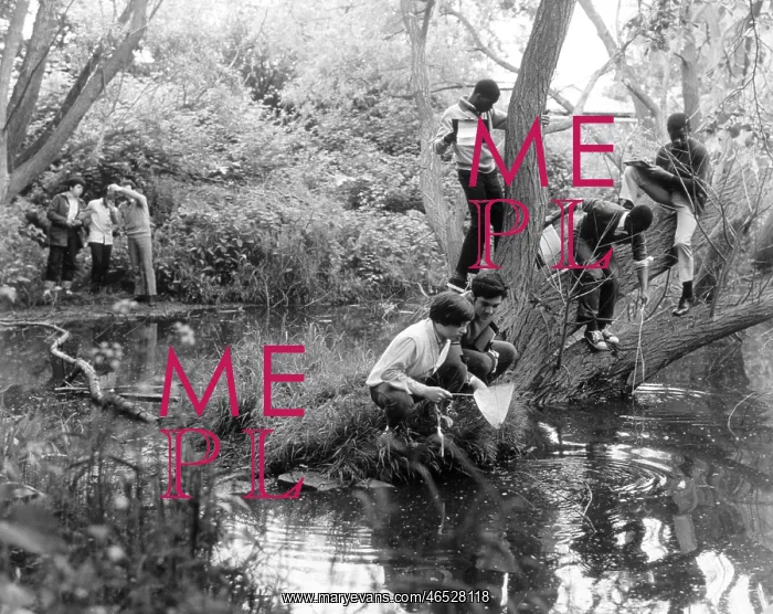 : CHILDREN STUDY PONDLIFE : CHILDREN STUDY PONDLIFE