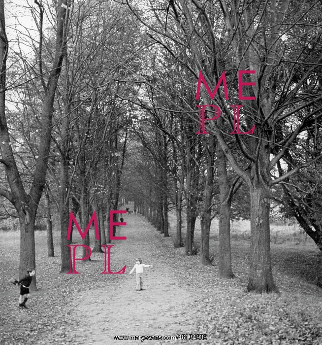 : Children on a tree-lined path in a park : Children on a tree-lined path in a park
