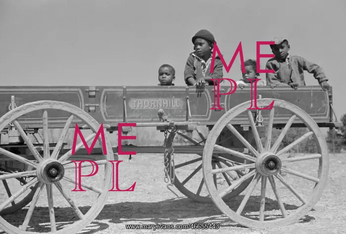 : Children - Wagon - Transportation - Rural : Children - Wagon - Transportation - Rural
