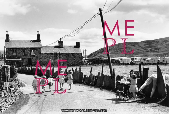 : Five children walking in Wales : Five children walking in Wales
