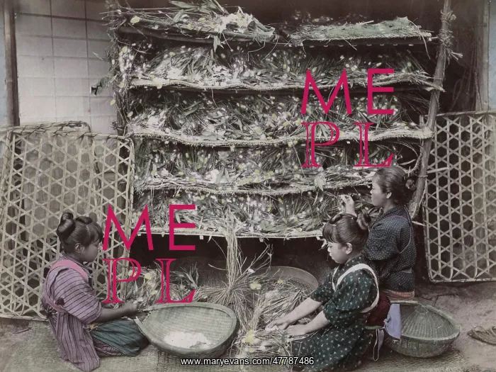 : Children working with silk worms, Japan : Children working with silk worms, Japan