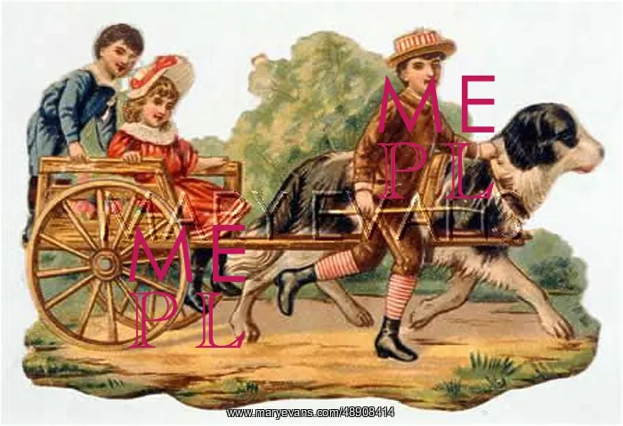 : CHILDRENS DOG CART : CHILDRENS DOG CART