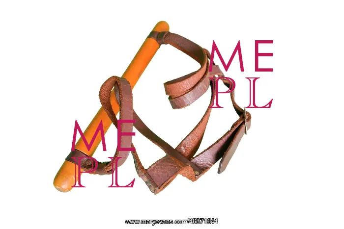 : Child's reins : Child's reins