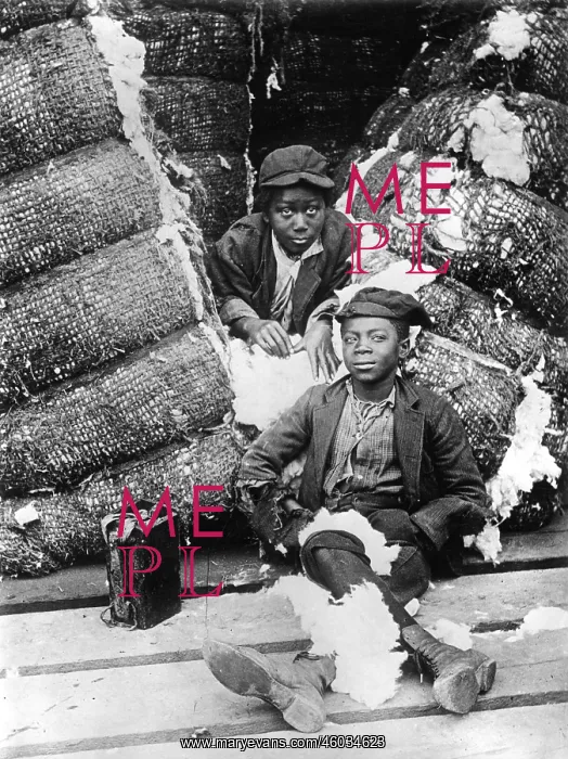 : Child's work: Cotton picker : Child's work: Cotton picker