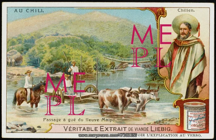  : CHILE / MAIPO RIVER C1900