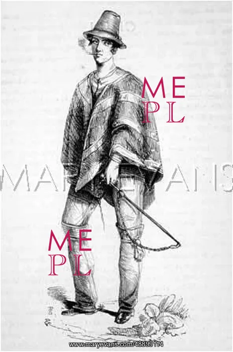  : CHILEAN MALE (WHIP)C1860