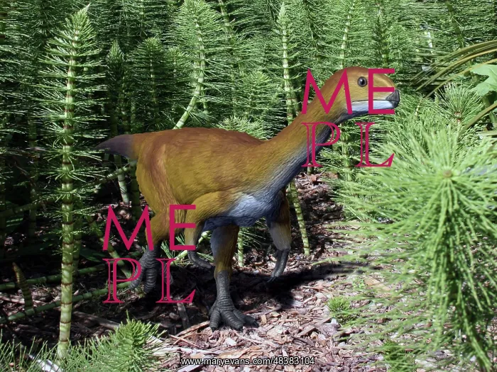 : Chilesaurus is an extinct theropod dinosaur from the Late ? : Chilesaurus is an extinct theropod dinosaur from the Late ?