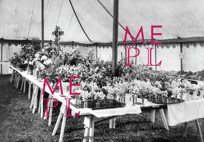  : Chilham, Flower Show 1908