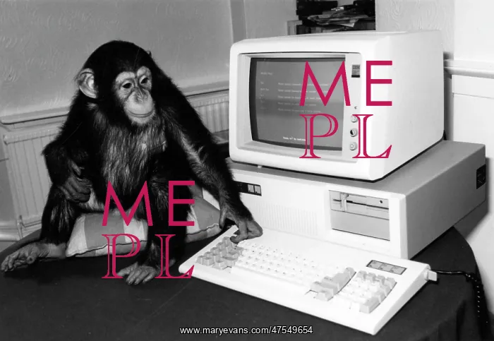 : Chimp with computer : Chimp with computer