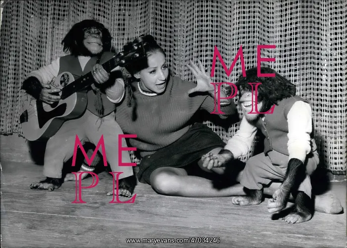 : Chimpanzee imitators of The Beatles : Chimpanzee imitators of The Beatles