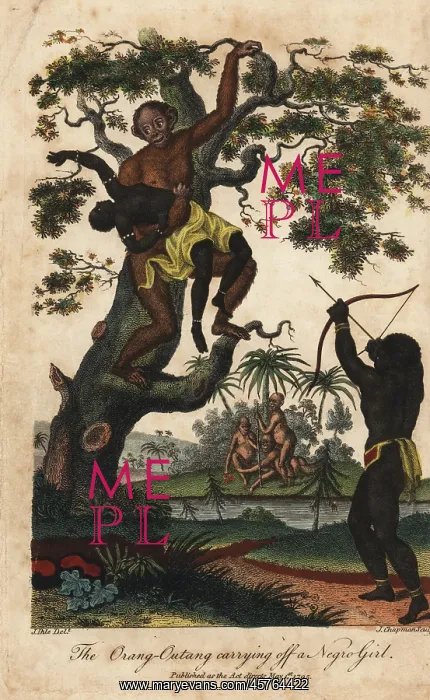 : Chimpanzee kidnapping an Angolan girl : Chimpanzee kidnapping an Angolan girl