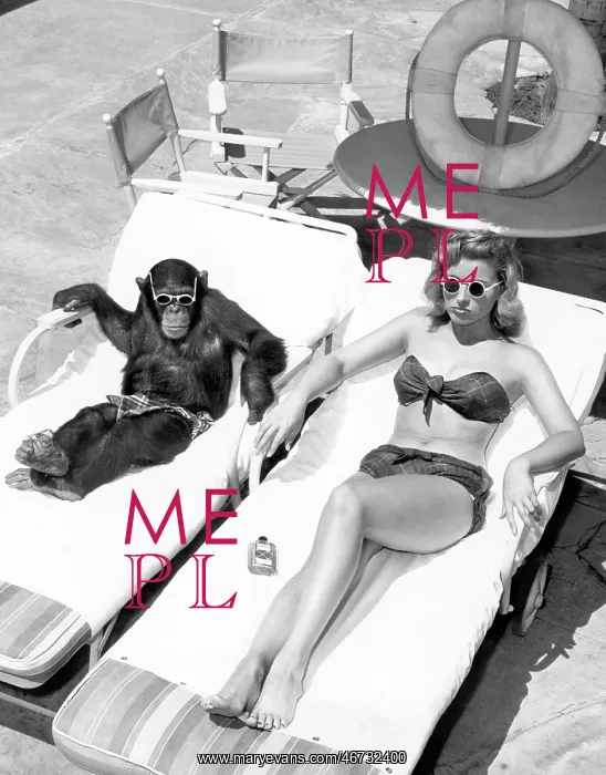 : Chimpanzee and a woman sunbathing : Chimpanzee and a woman sunbathing