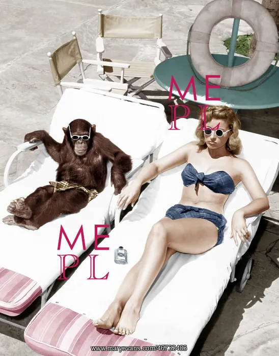 : Chimpanzee and a woman sunbathing : Chimpanzee and a woman sunbathing