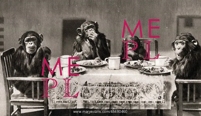  : Chimpanzees Tea Party