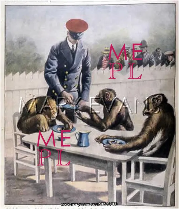 : CHIMPS TEA PARTY - 2 : CHIMPS TEA PARTY - 2