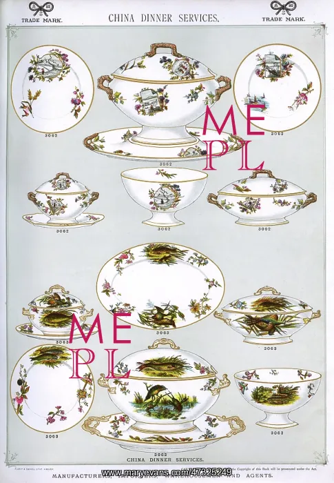 : China Dinner Services, Plate 11 : China Dinner Services, Plate 11