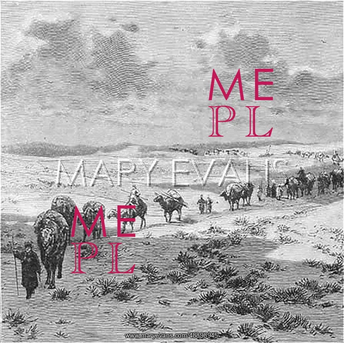  : CHINA / GOBI DESERT C1880