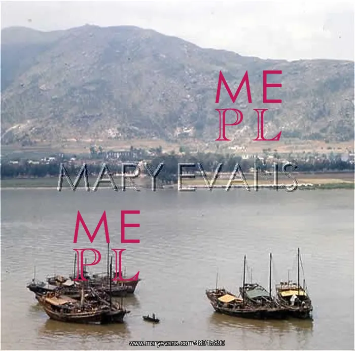 : CHINA / MACAO / PEARL RIVER : CHINA / MACAO / PEARL RIVER