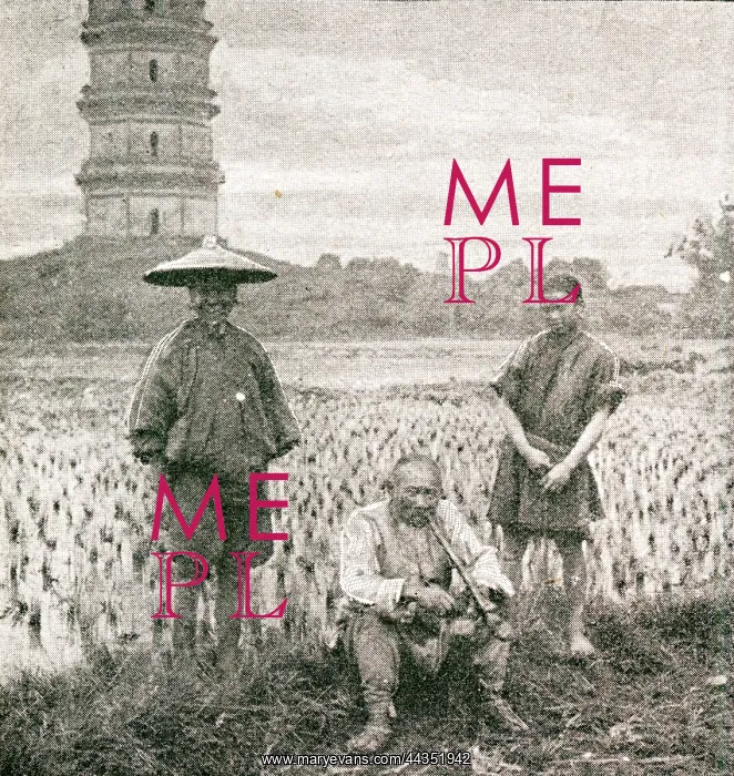  : China - Old Rice Farmers