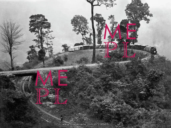  : Chinbatti Loop, Darjeeling Railway, India