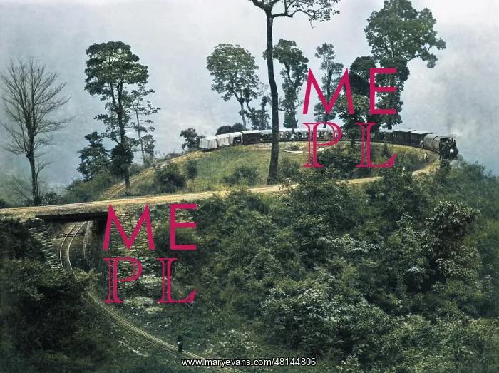  : Chinbatti Loop, Darjeeling Railway, India