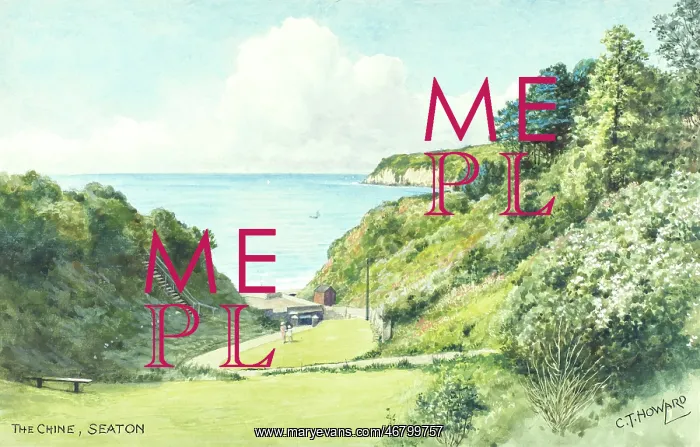 : The Chine, Seaton, Devon : The Chine, Seaton, Devon