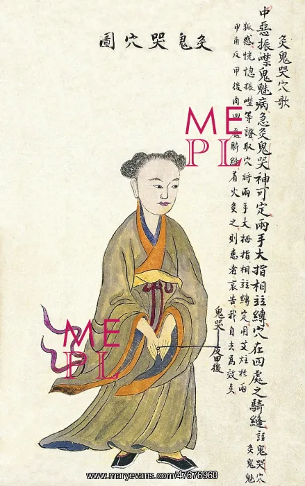 : Chinese Acu-moxa Point Chart, 1869 : Chinese Acu-moxa Point Chart, 1869