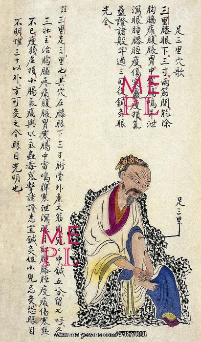 : Chinese Acu-moxa Point Chart, 1869 : Chinese Acu-moxa Point Chart, 1869